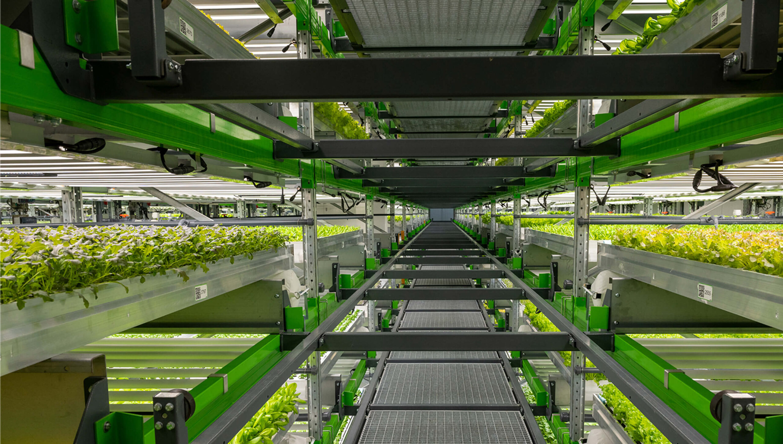 ASRS Being Used in a Greenhouse